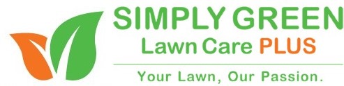 Common Georgia Weeds | Atlanta Lawn Care | Simply Green