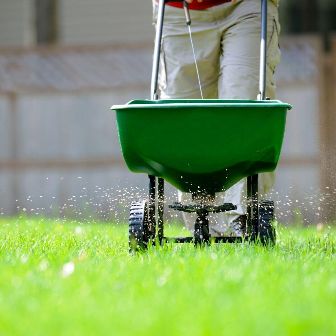 Simply Green Lawn Care | The Best Lawn Care in Atlanta