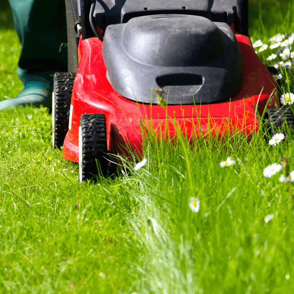 Common Weed Control Mistakes | Simply Green