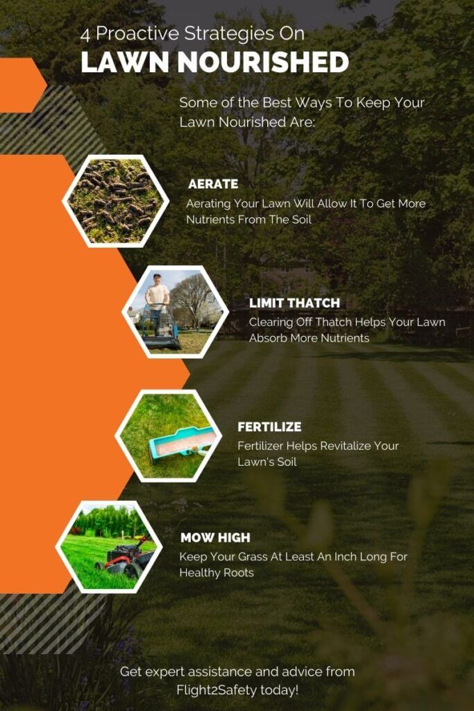 4 Ways To Keep Your Lawn Nourished