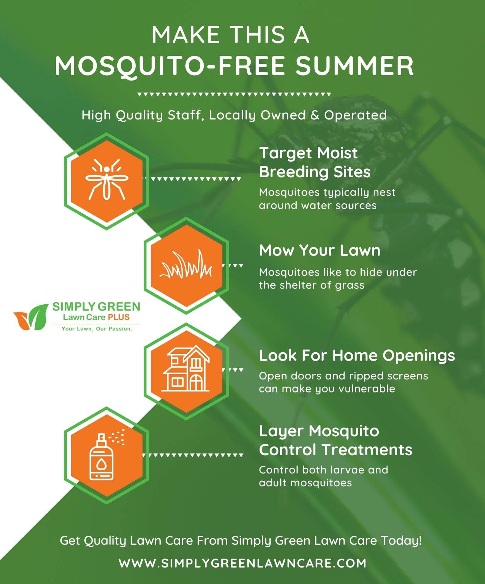 Make this a Mosquito-Free Summer infographic