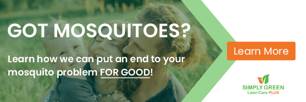 Learn about Simply Green's Mosquito Control Service - Banner