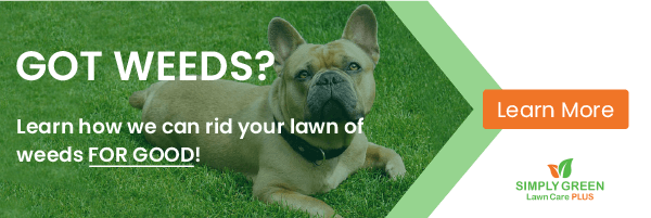 Weed Control Promotional Banner by Simply Green Lawn Care
