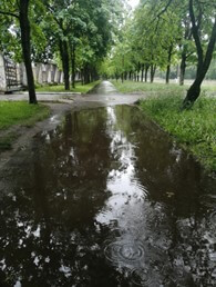 Standing water