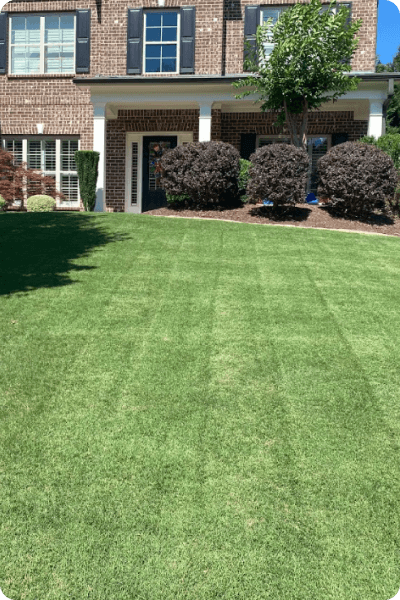 Simply-Green-Lawn-Care-Plus-Customer-Lawn-3