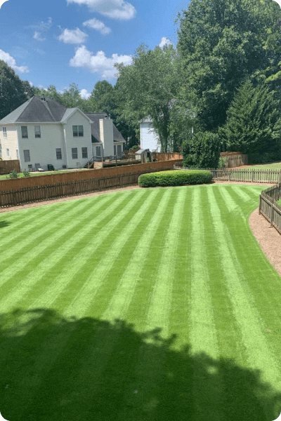 Simply-Green-Lawn-Care-Plus-Customer-Lawn-6