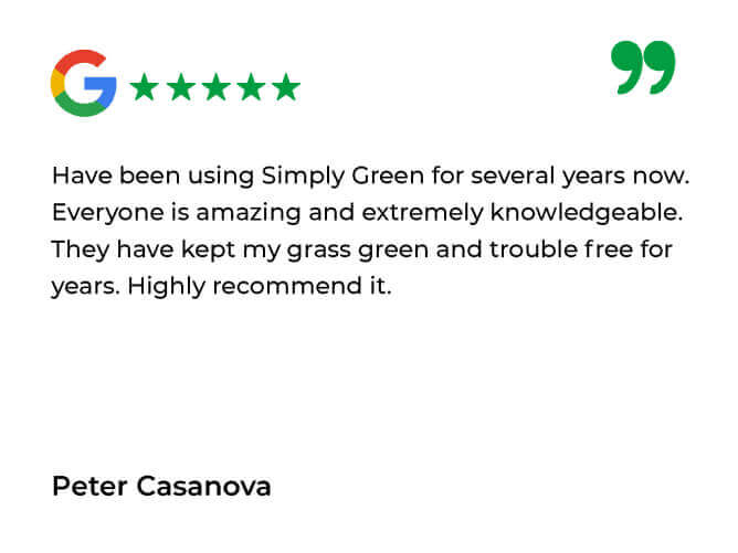 Simply Green Testimonials_Simply Green Google Review 5