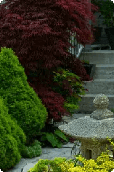 stockfresh_2719445_garden-path-with-stone-landscaping_sizeS_top1