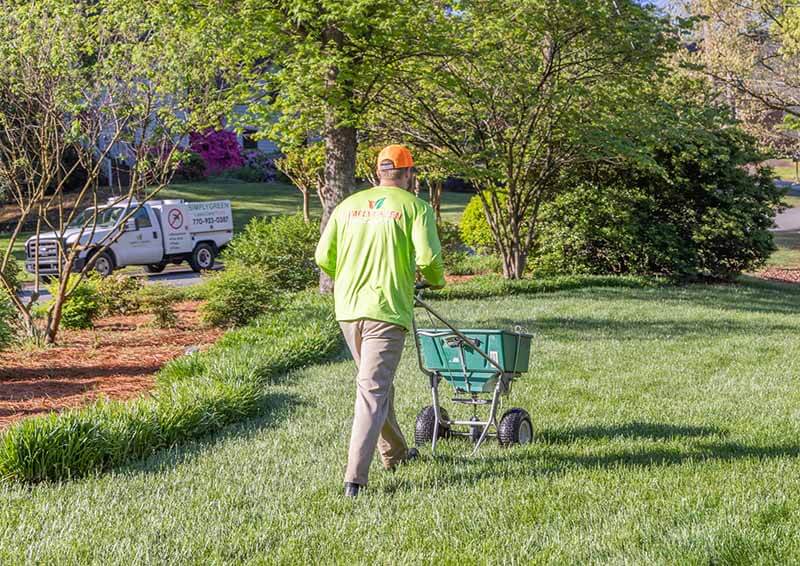 Photo of a Simply Green Lawn Care Service Manager pushing a Fertilizer Spreader
