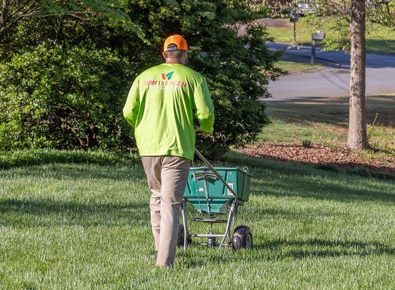Simply Green Lawn Care - Service Manager - Pushing Spreader - Plant Growth Regulator - 800 px
