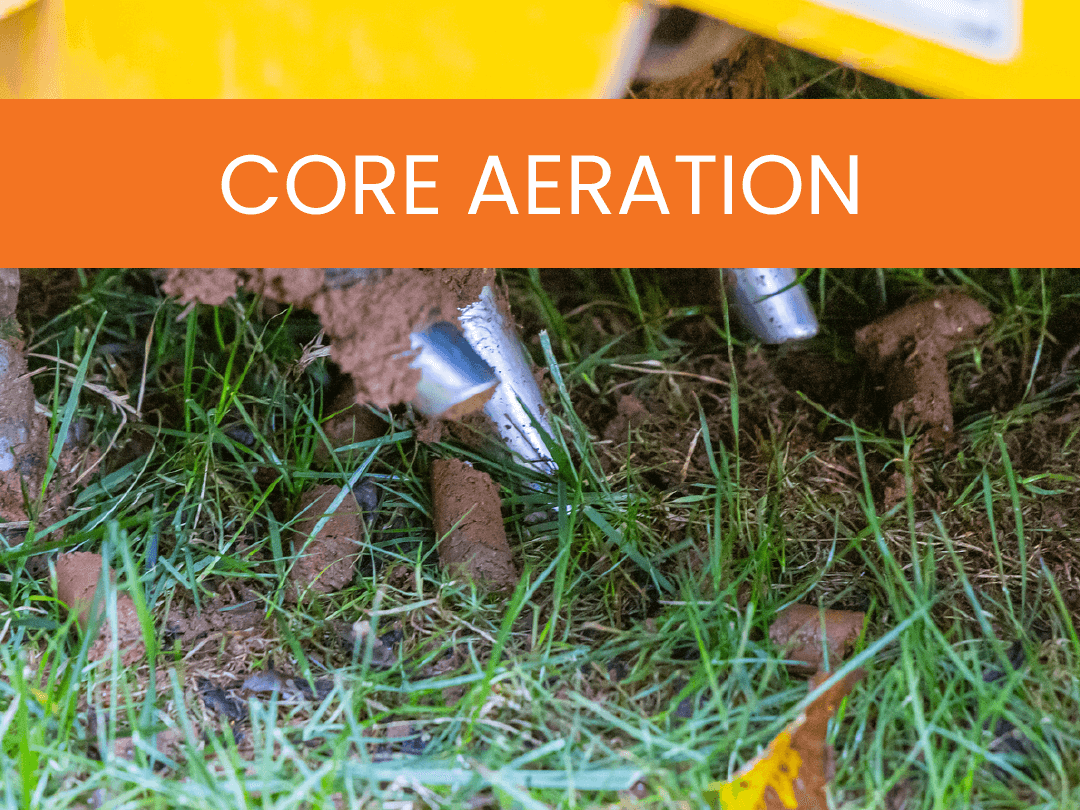 Core Aeration