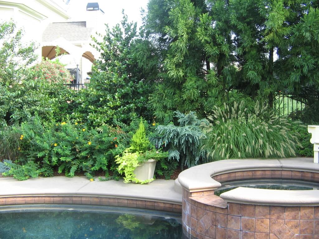 Picture of one of Simply Green's customer's healthy landscape by the pool