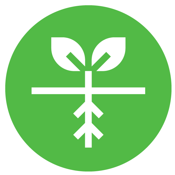 Illustrated graphic of a plant with roots