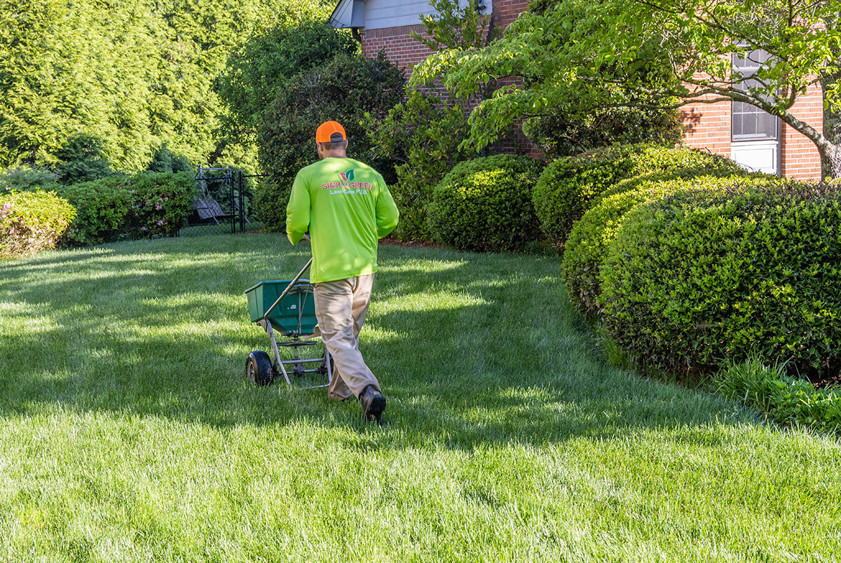 Picture of a Simply Green Technician fertilizing a lawn